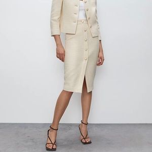 Aritzia Babaton Giselle Skirt